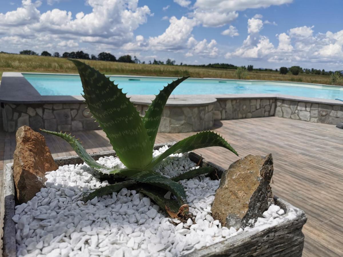 Casale Dei Gelsi Bed & Breakfast Castiglione In Teverina Екстериор снимка