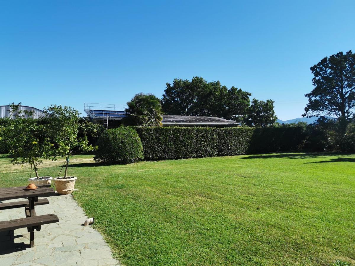 Casale Dei Gelsi Bed & Breakfast Castiglione In Teverina Екстериор снимка